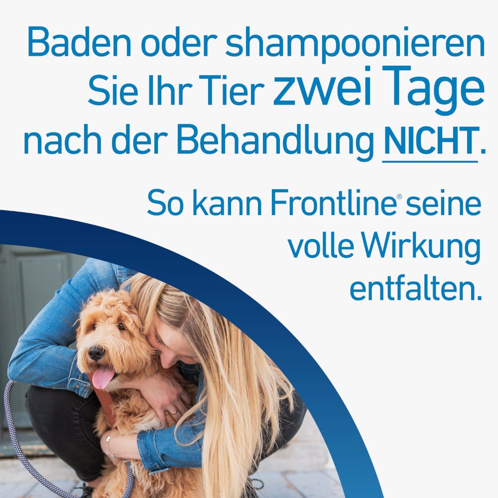 FRONTLINE SPOT-ON für Hunde L (20-40 kg) gegen Zecken, Flöhe und Haarlinge 6 St Lösung