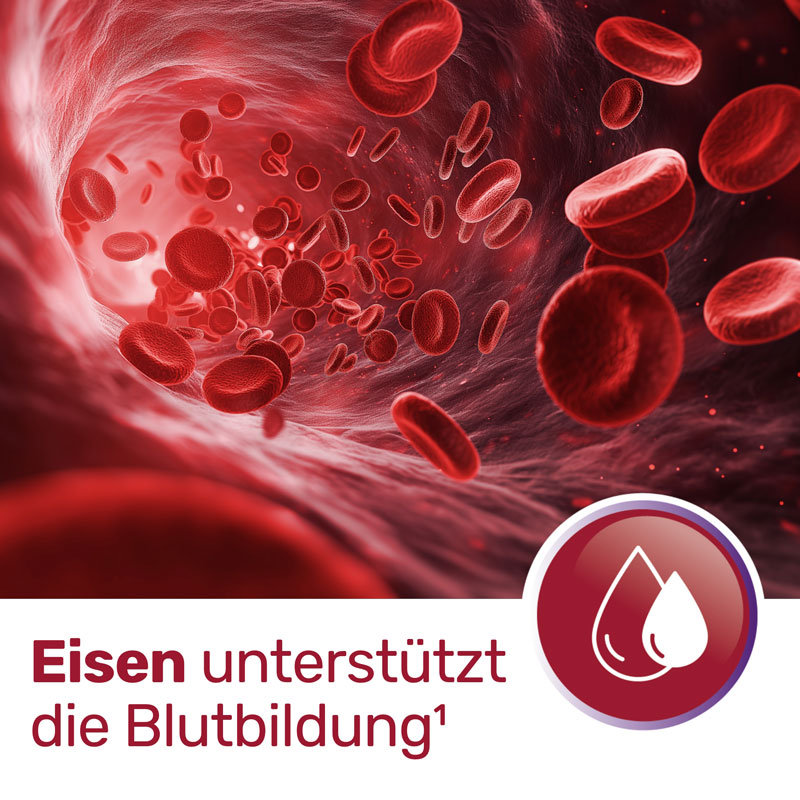 Glycowohl  protect Eisen-Komplex duodenal 40 mg 90 St Kapseln