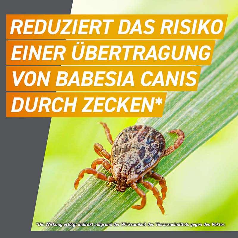 FRONTPRO - gegen Zecken und Flöhe für Hunde (>4-10kg) 3 St Kautabletten