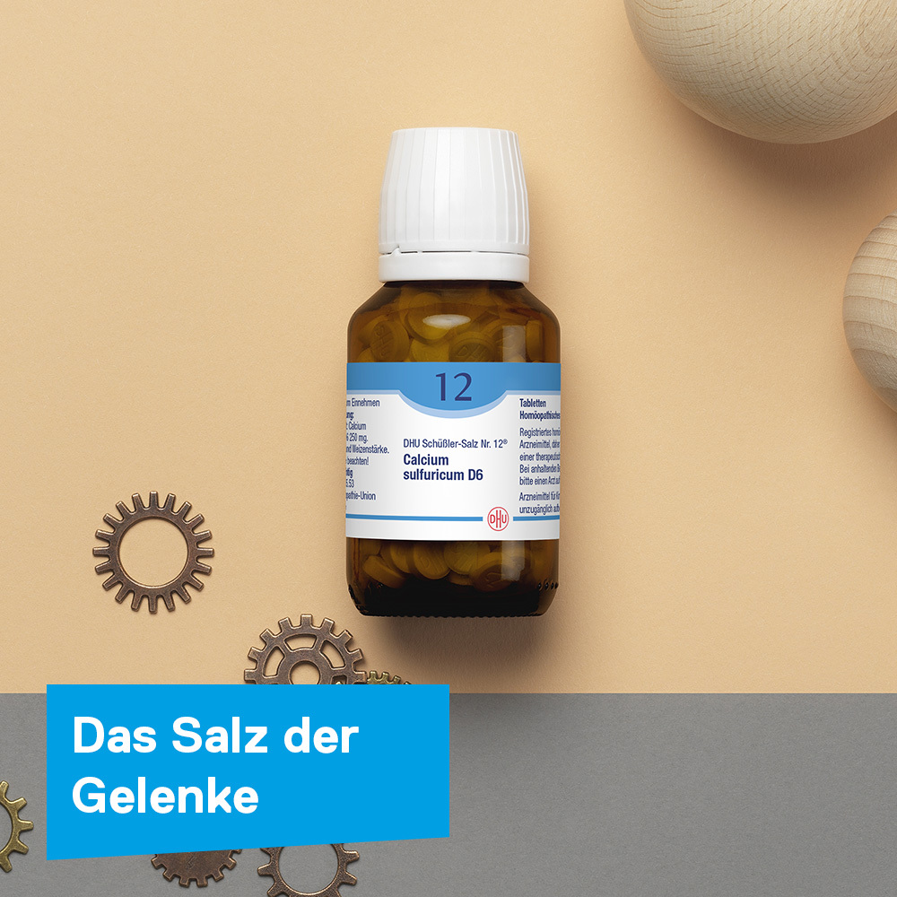 DHU Schüßler-Salz Nr. 12 Calcium sulfuricum D6 80 St Tabletten