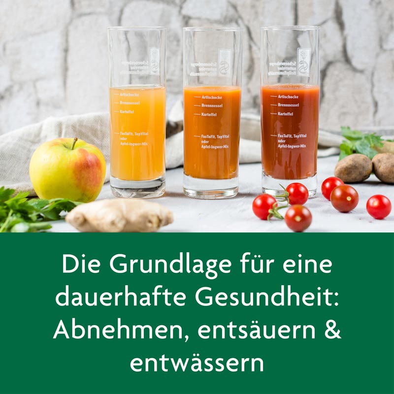 Schoenenberger SCHLANKHEITS FÜR 10 TAGE Möhre-Mango 1 Packung Saft
