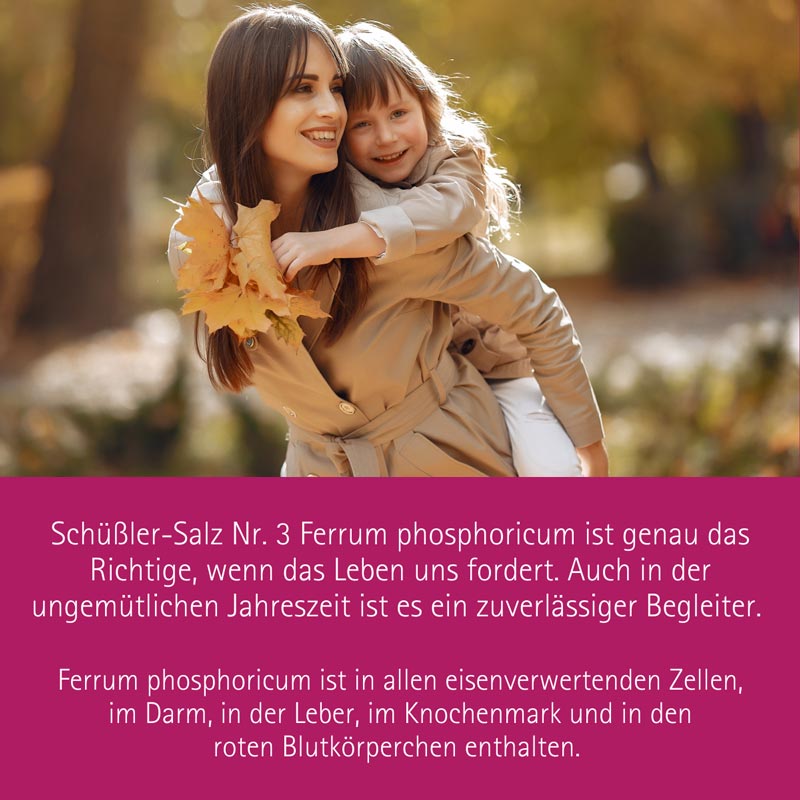 Schüßler-Salz Nr. 3 Ferrum phosphoricum D12 100 St Tabletten