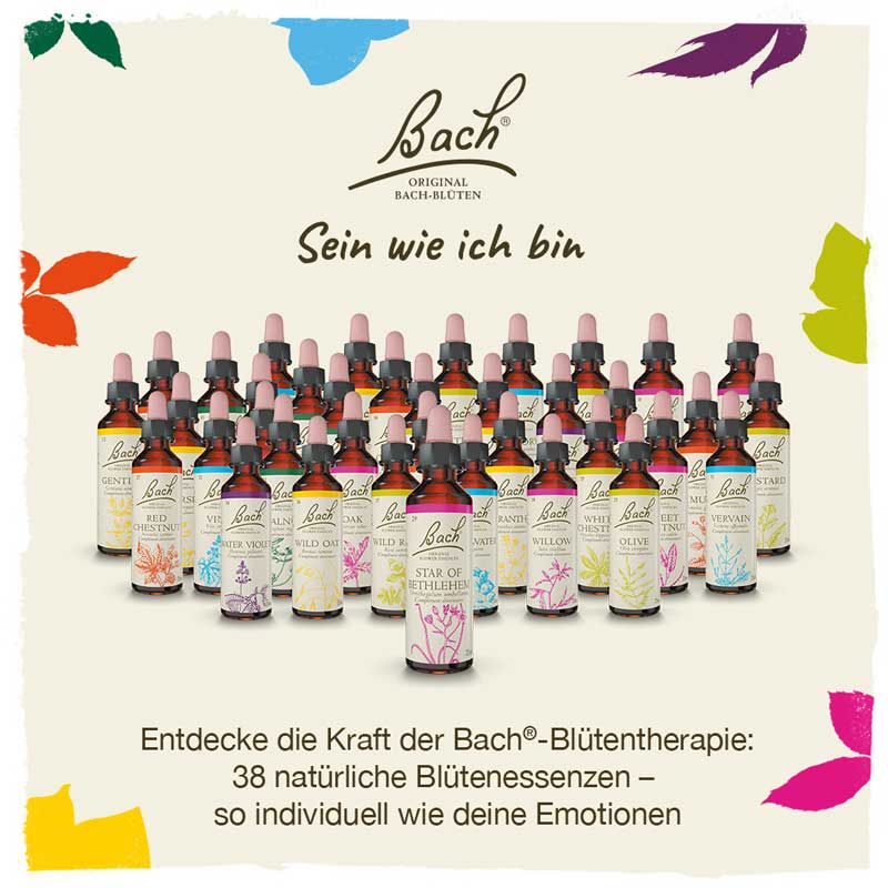 BACHBLÜTEN Original Professional Set 40 x 20ml 800 ml Tropfen