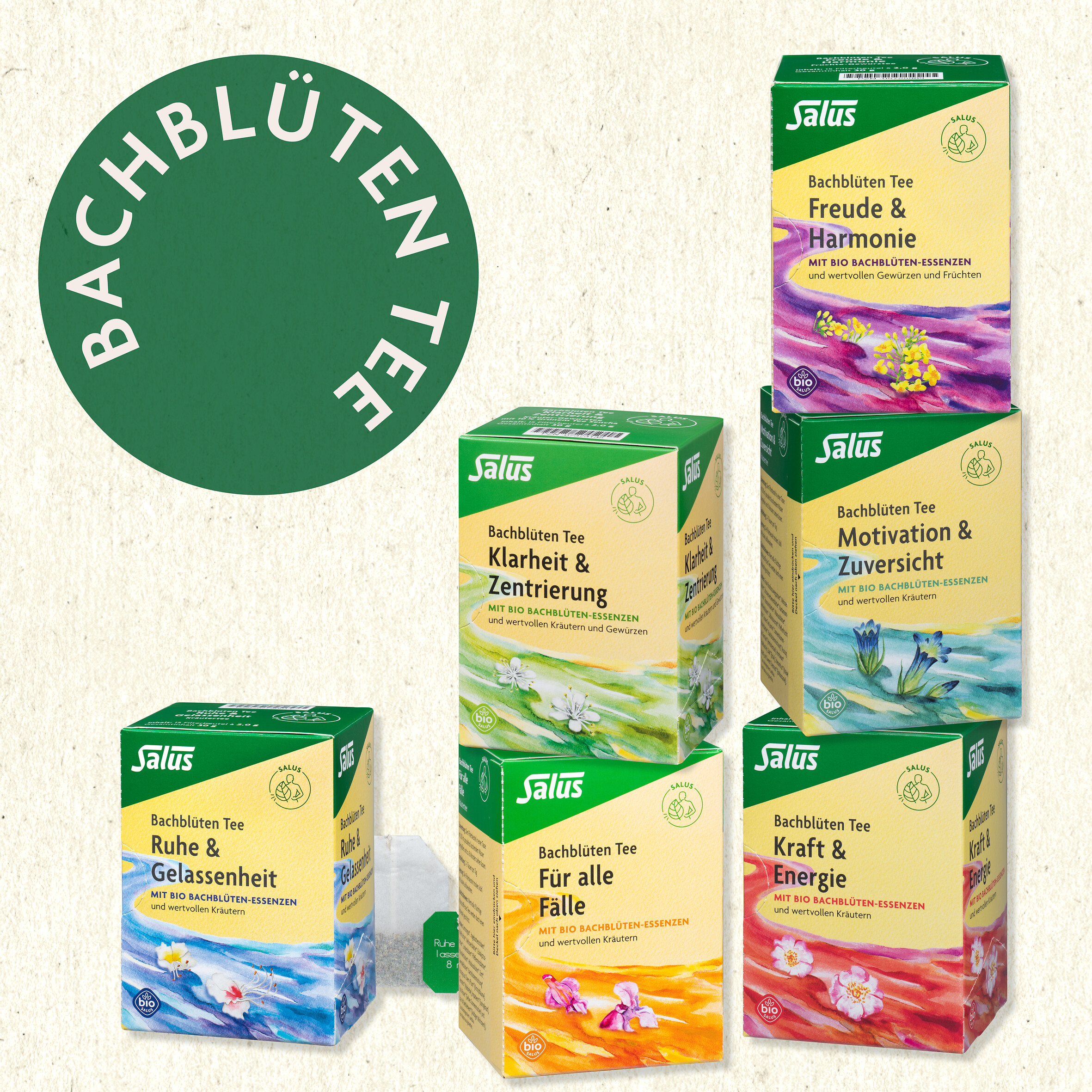 Salus Bachblüten Tee Klarheit & Zentrierung 15 St Filterbeutel