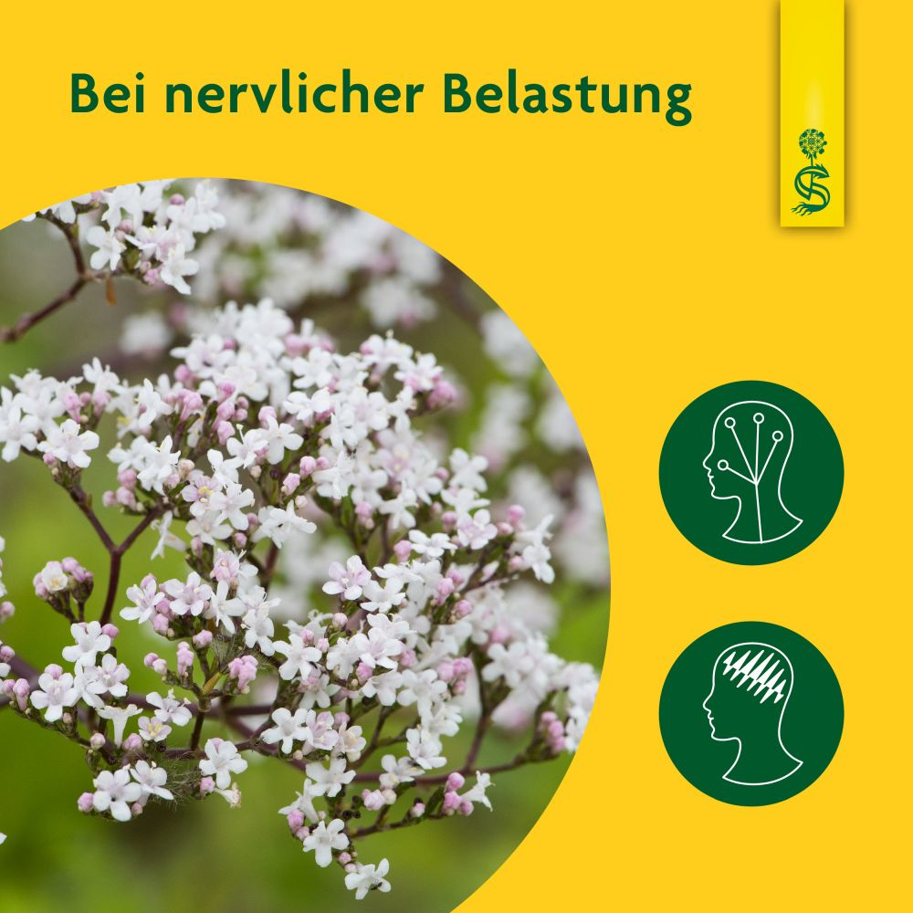 Schoenenberger Naturreiner Heilpflanzensaft Baldrian 200 ml Saft