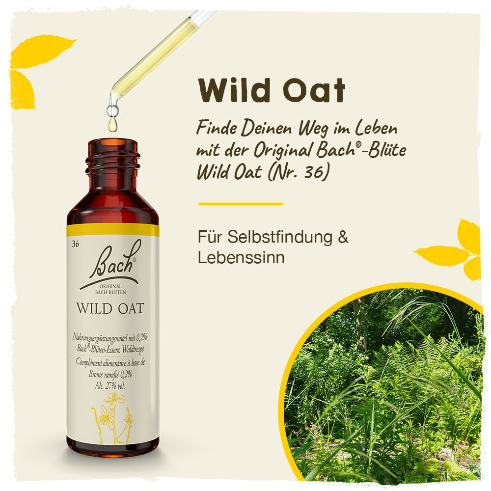 BACHBLÜTEN Original Wild Oat Nr. 36 20 ml Tropfen