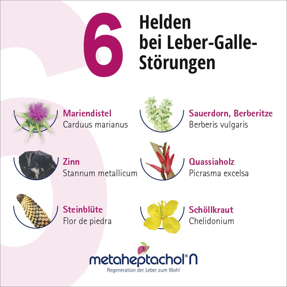 METAHEPTACHOL N Tropfen zum Einnehmen 100 ml Mischung