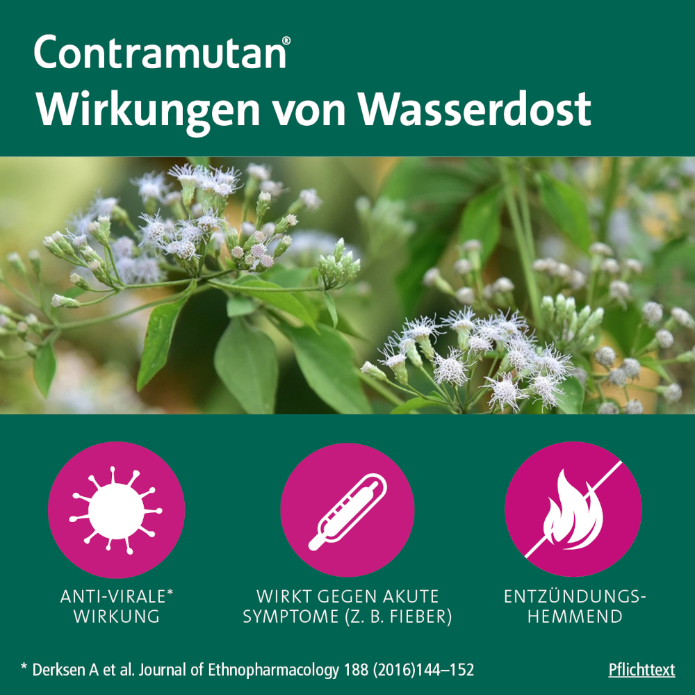 CONTRAMUTAN  100 St Tabletten