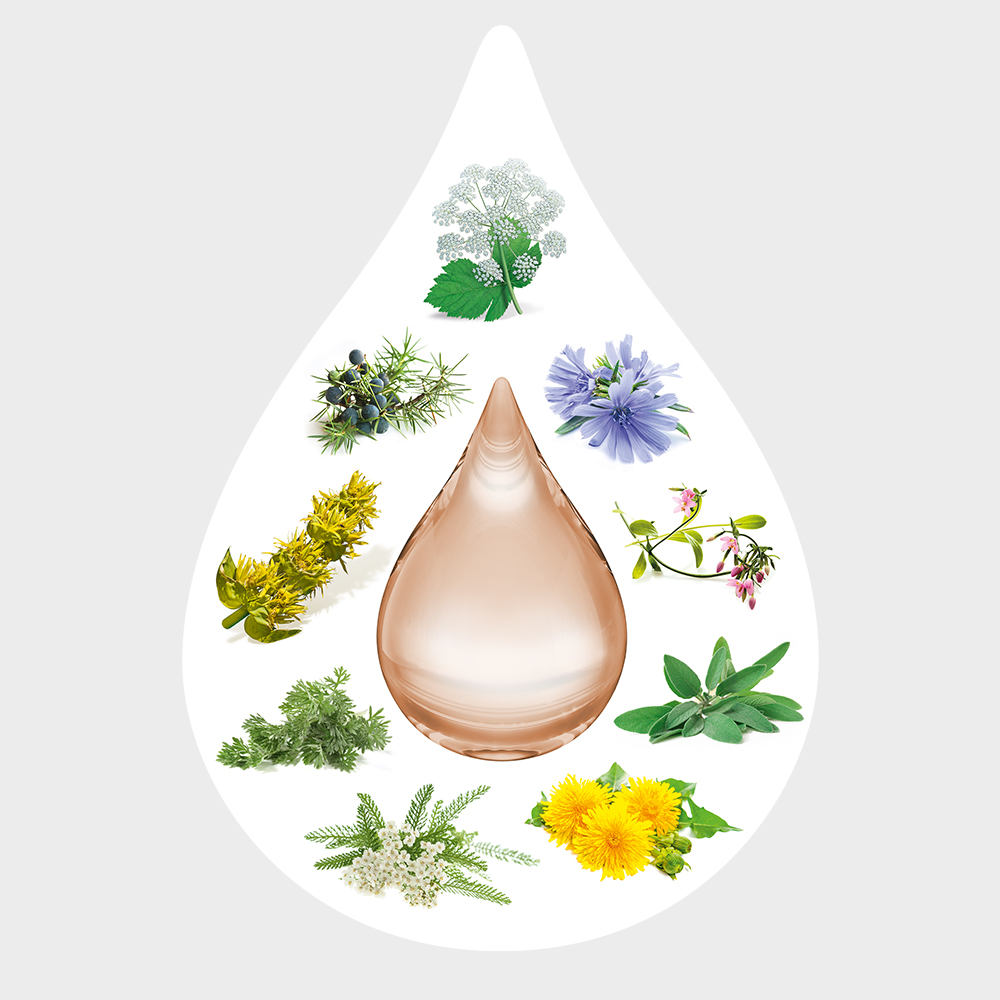 WELEDA AMARA-TROPFEN 20 ml Dilution