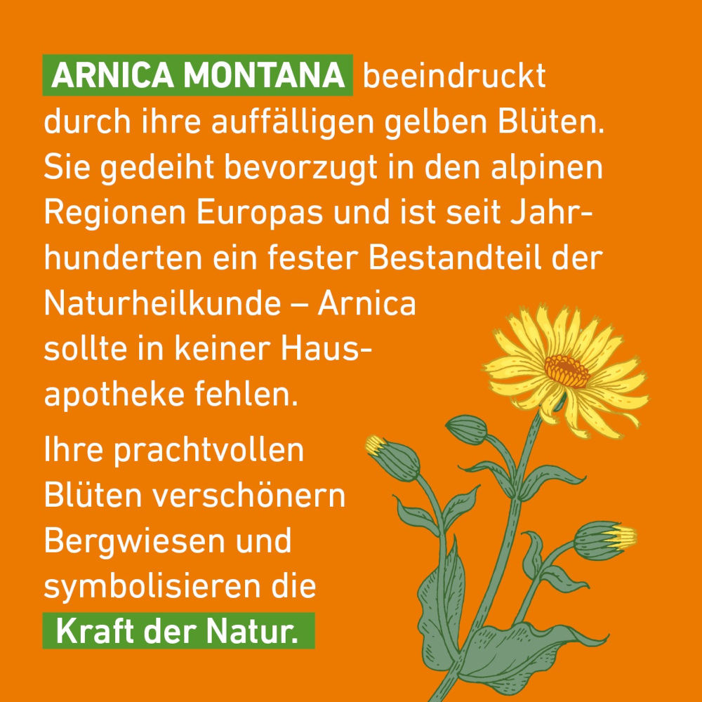 Arnica D12 Globuli Pflüger 10 g Globuli