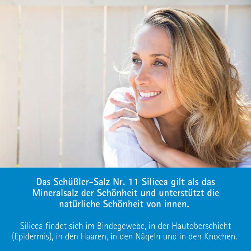 Schüßler-Salz Nr. 11 Silicea D12 4000 St Tabletten