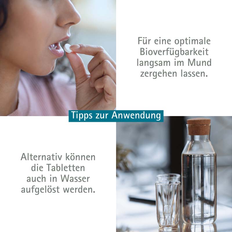 Schüßler-Salz Nr. 12 Calcium sulfuricum D6 1000 St Tabletten