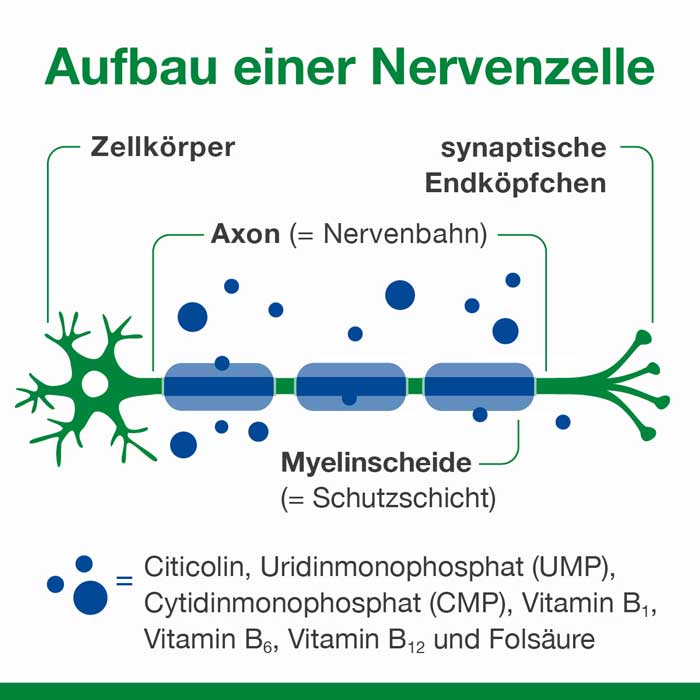 neuroLoges concept 60 St Kapseln