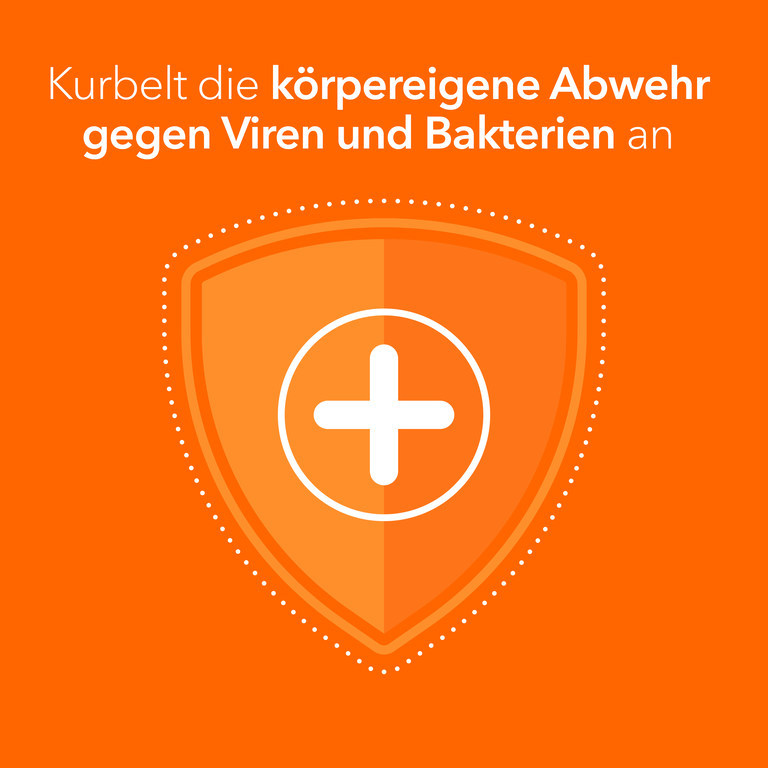 Pelargonium-ratiopharm Bronchialtropfen 100 ml Flüssigkeit