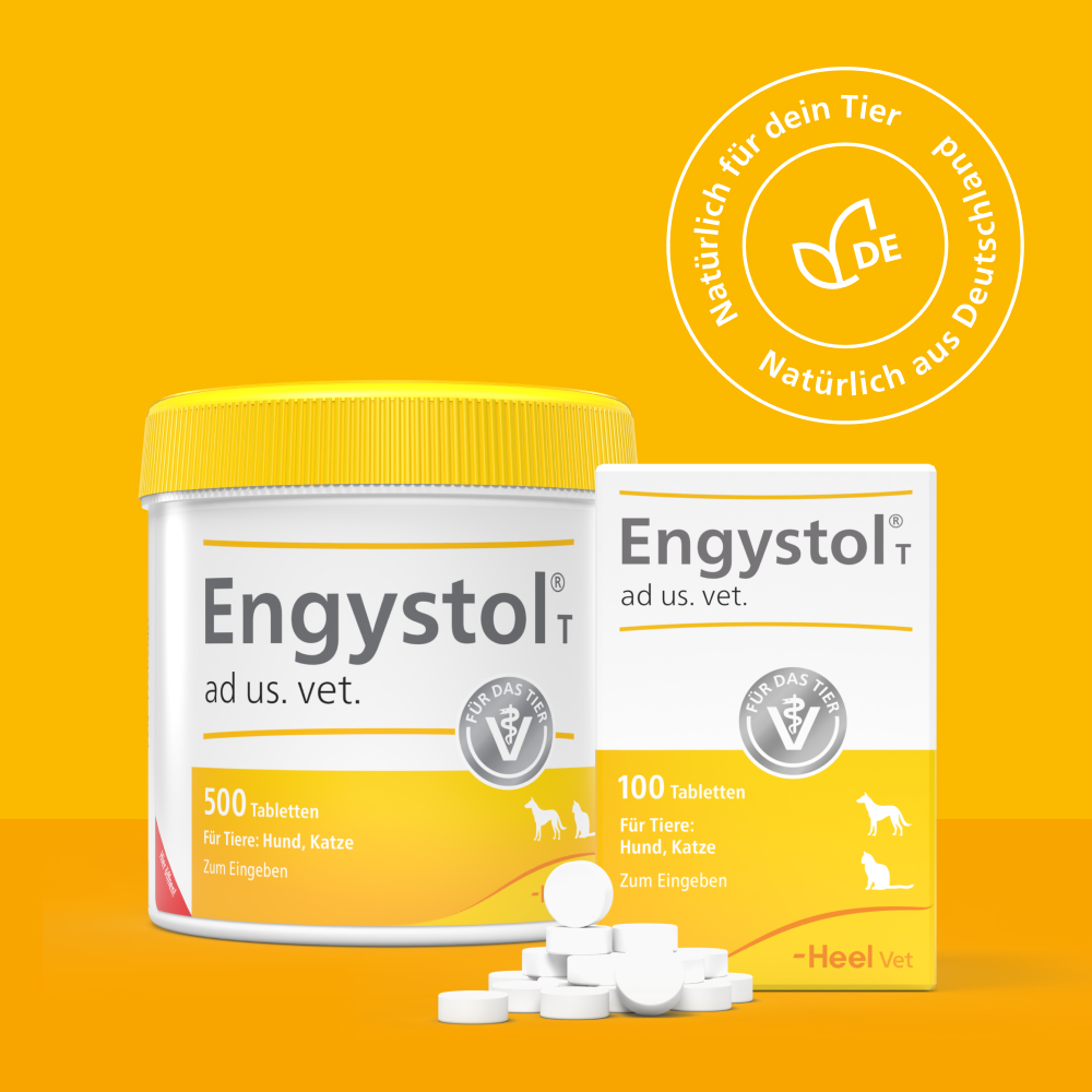Engystol T ad us. vet. 100 St Tabletten
