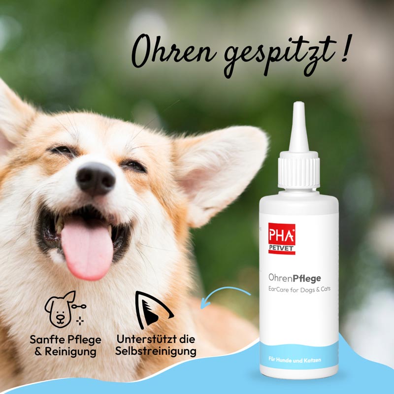 PHA OhrenPflege Tropfen für Hunde 100 ml Tropfen