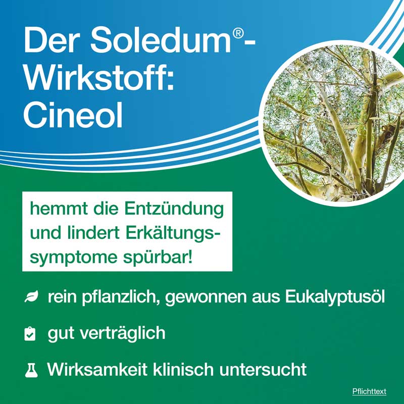 Soledum forte 100 St Kapseln magensaftresistent