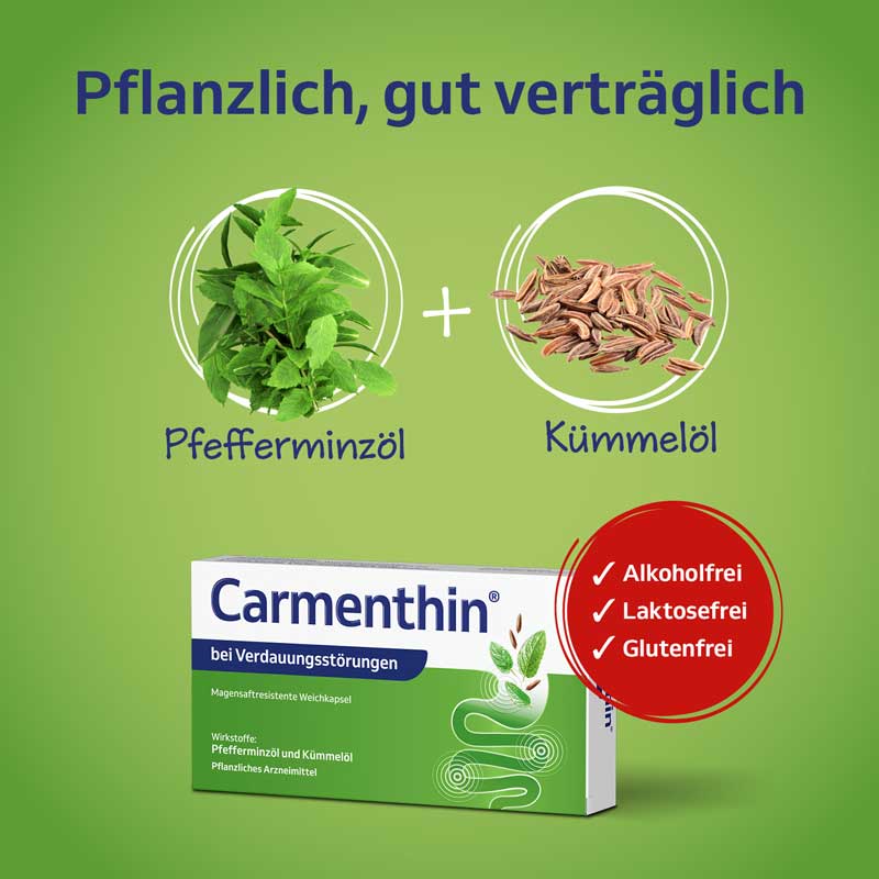 Carmenthin bei Verdauungsstörungen  42 St Magensaftresistente Weichkapseln