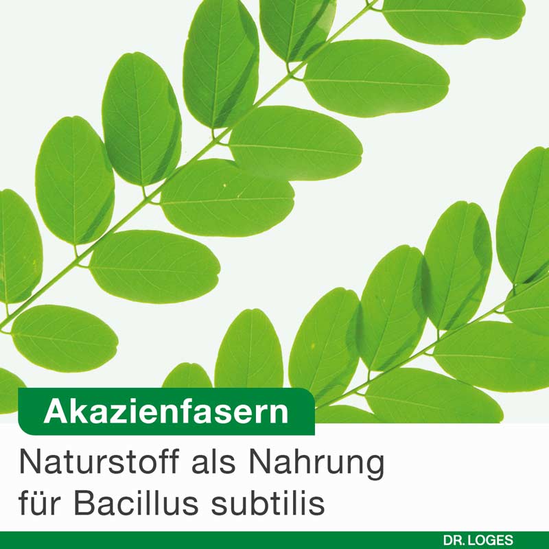 bioticLoges subtilis 15 St Kapseln