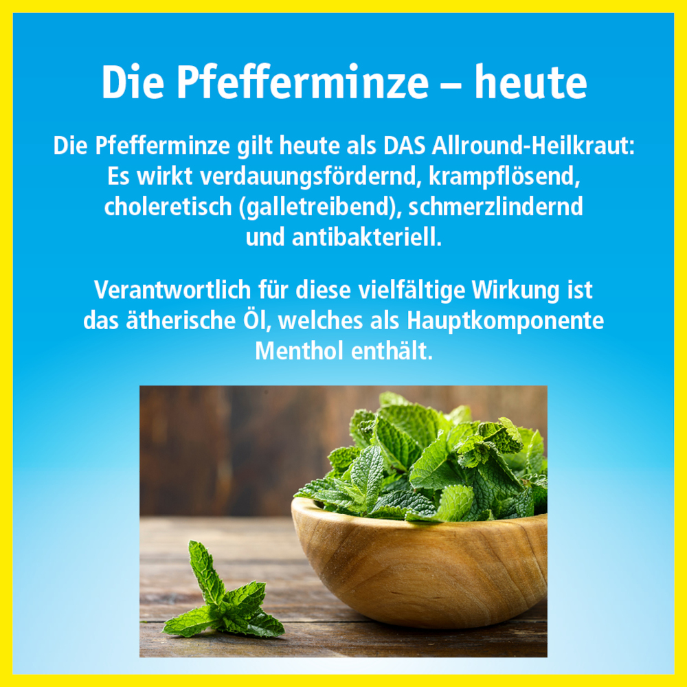 China-Öl + Inhalator 25 ml Ätherisches Öl