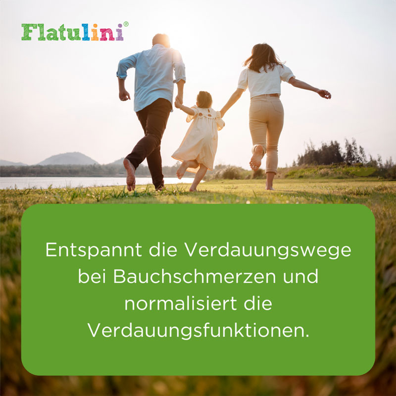 FLATULINI Globuli 2 g Globuli