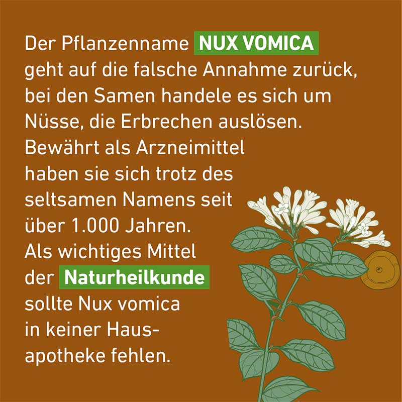 NUX VOMICA D12 Globuli Pflüger 10 g Globuli