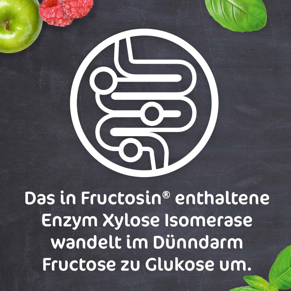 FRUCTOSIN 10 St Kapseln