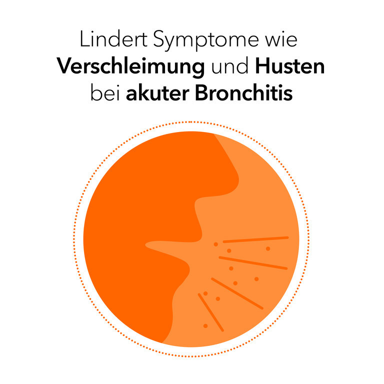 Pelargonium-ratiopharm Bronchialtropfen 20 ml Flüssigkeit