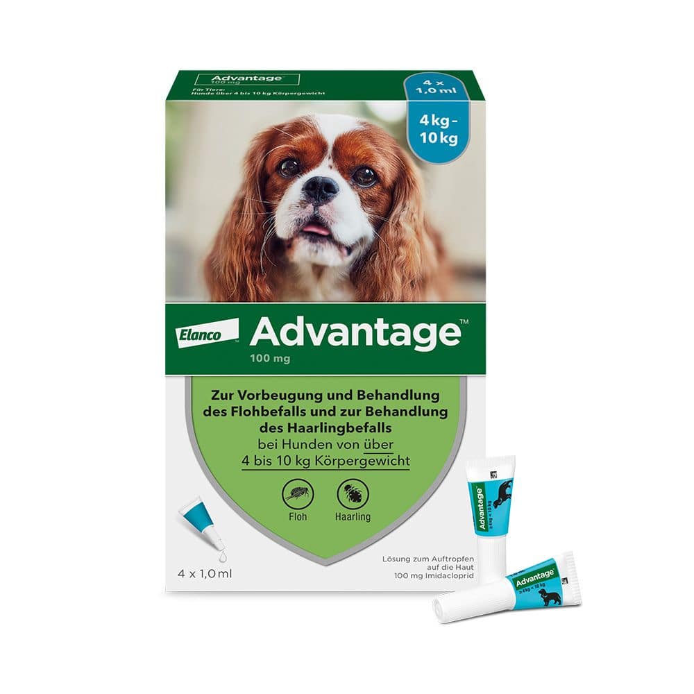 ADVANTAGE 100 HUND 4 St Lösung