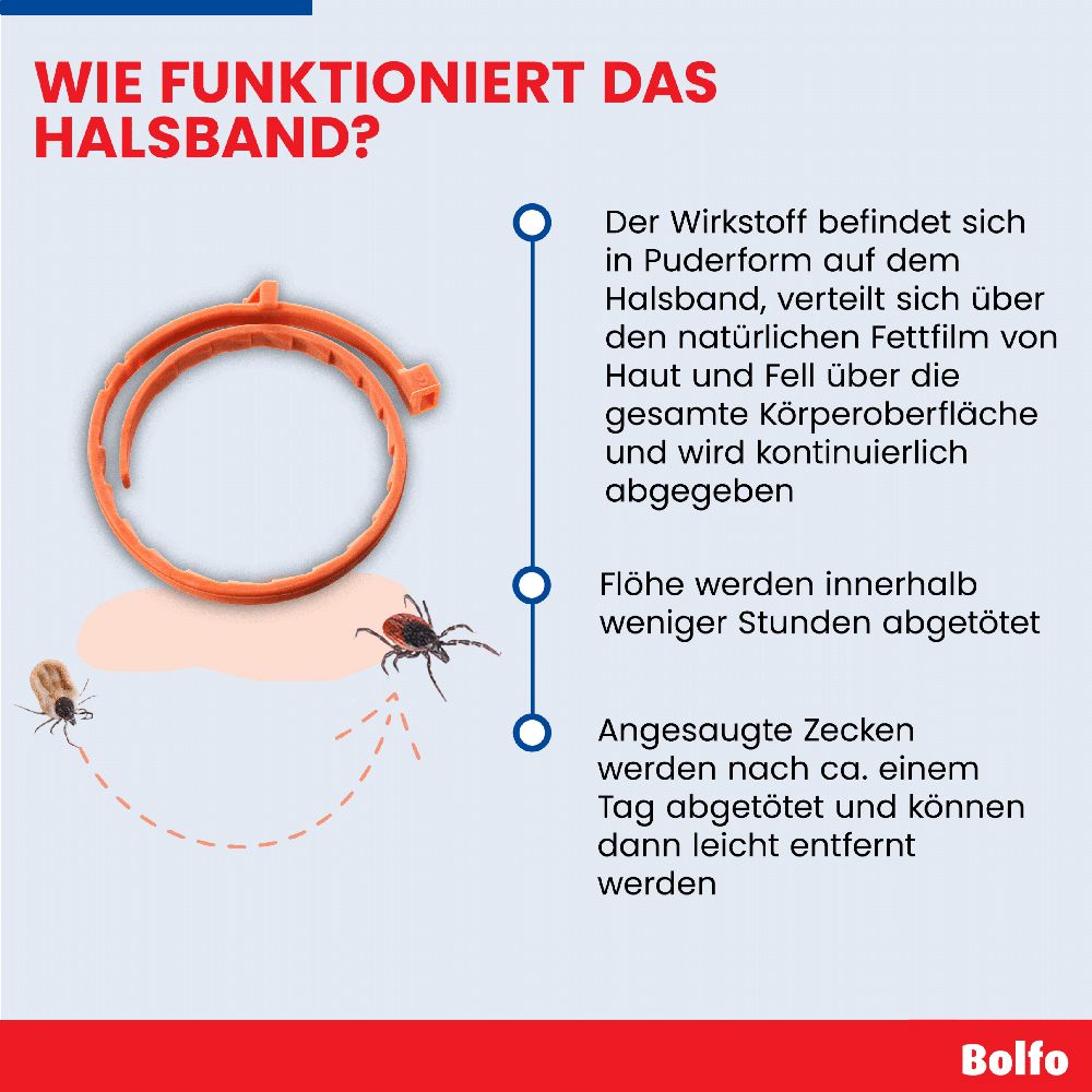 BOLFO HB KL. 1 St Halsband