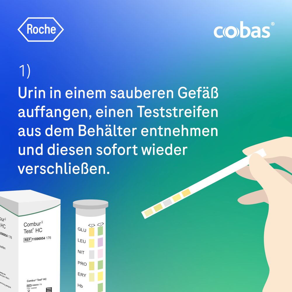 COMBUR 5 Test HC Teststreifen 10 St Teststreifen