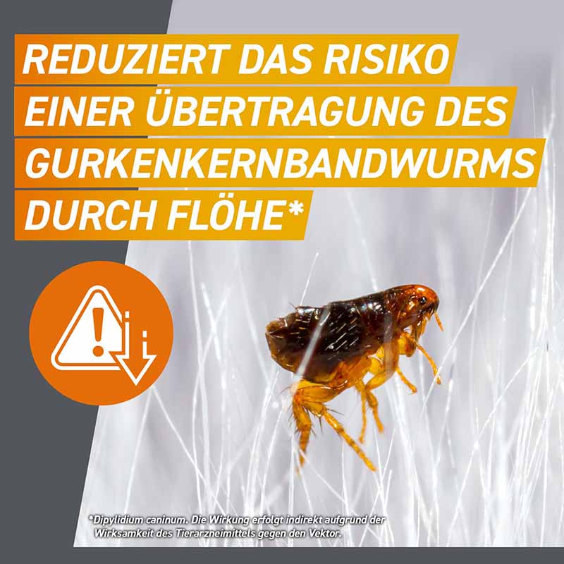 FRONTPRO Kautabletten Hunde 4-10 kg Doppelpack 2X3 St Kautabletten
