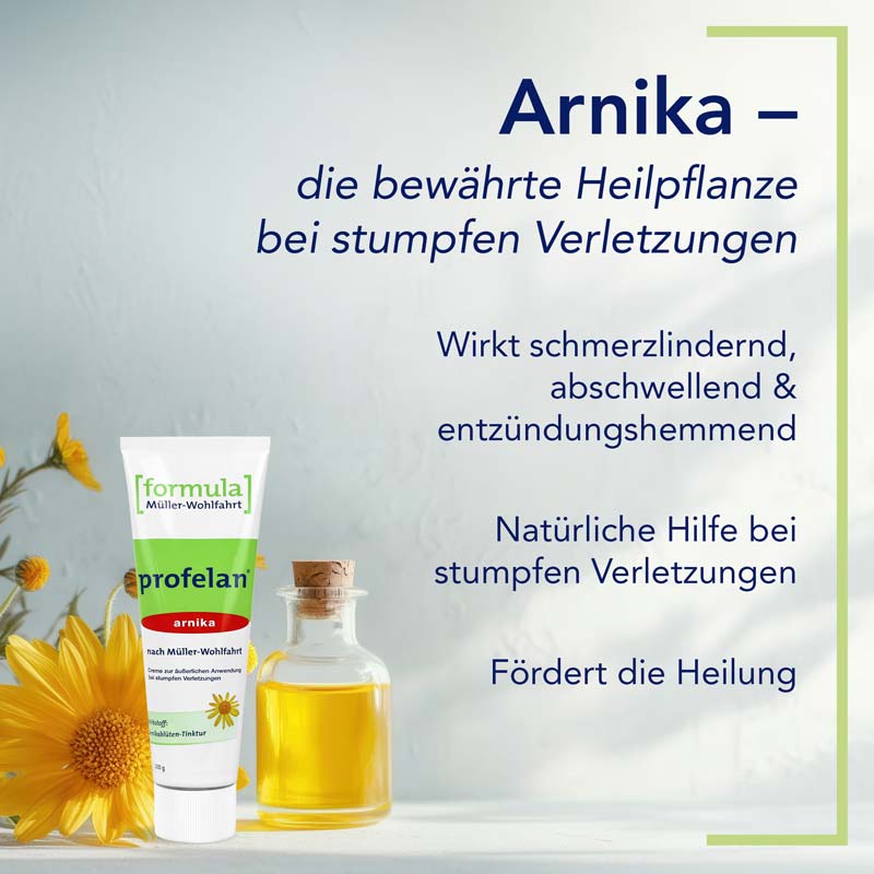 Profelan Salbe 100 g Creme