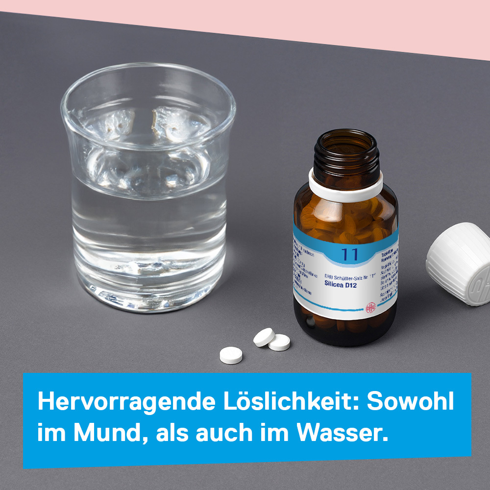 DHU Schüßler-Salz Nr. 11 Silicea D12 80 St Tabletten