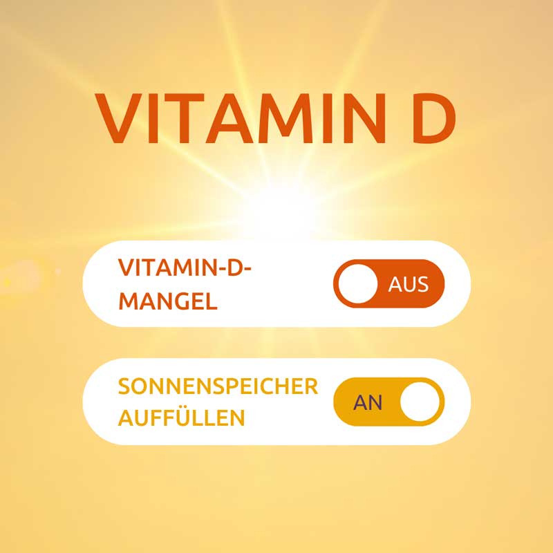 DR. THEISS VITAMIN D3 2000 I.E. 120 St Tabletten