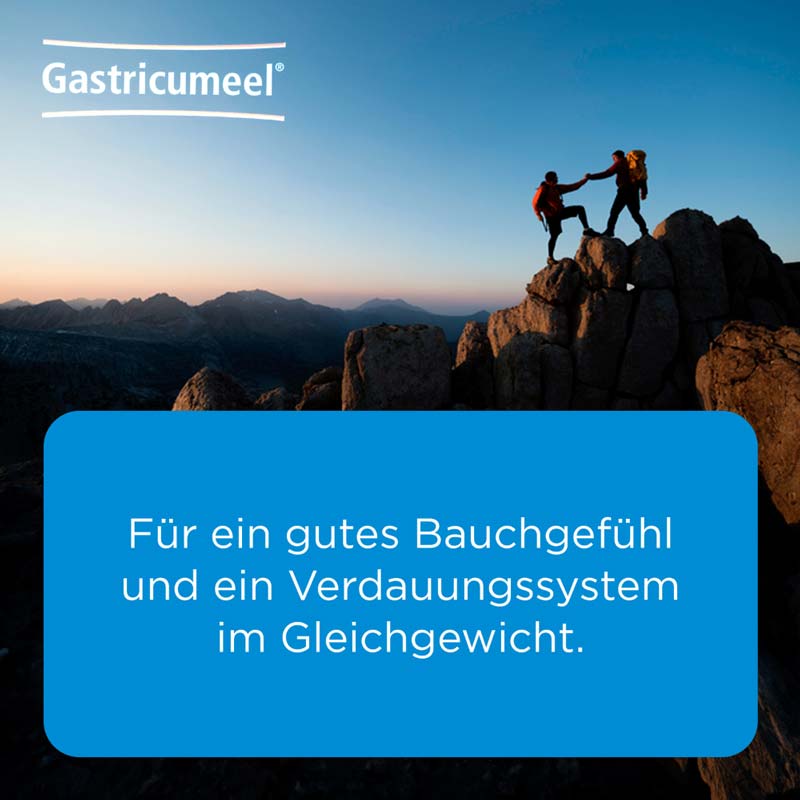 GASTRICUMEEL Heel 250 St Tabletten