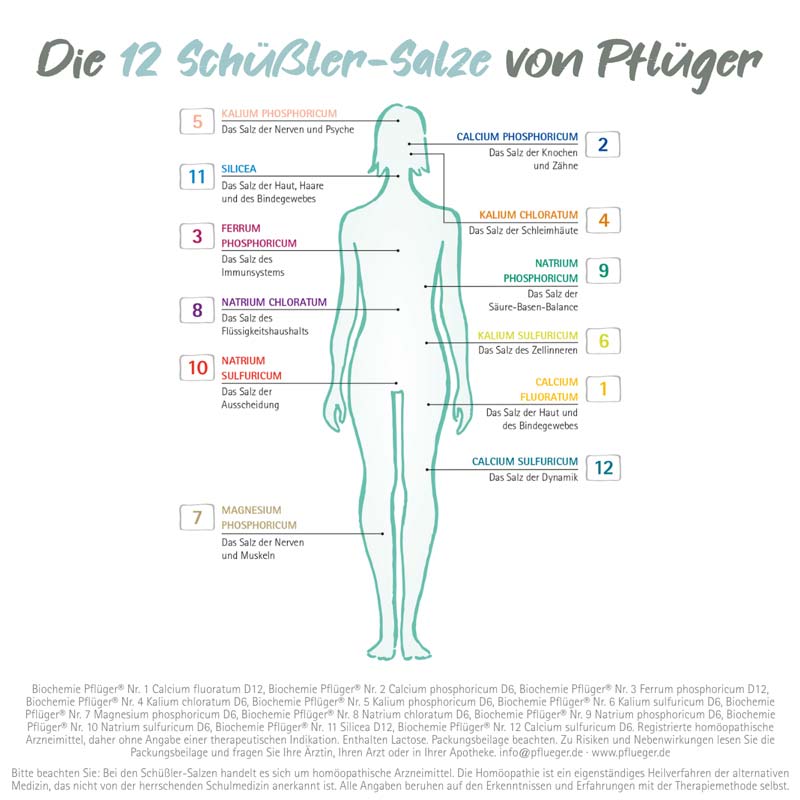 Schüßler-Salz Nr. 7 Magnesium phosphoricum D6 30 ml Tropfen