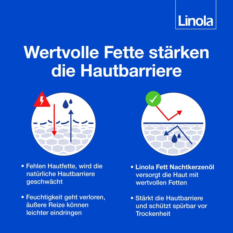 Linola Fett Nachtkerzenöl 100 g Creme