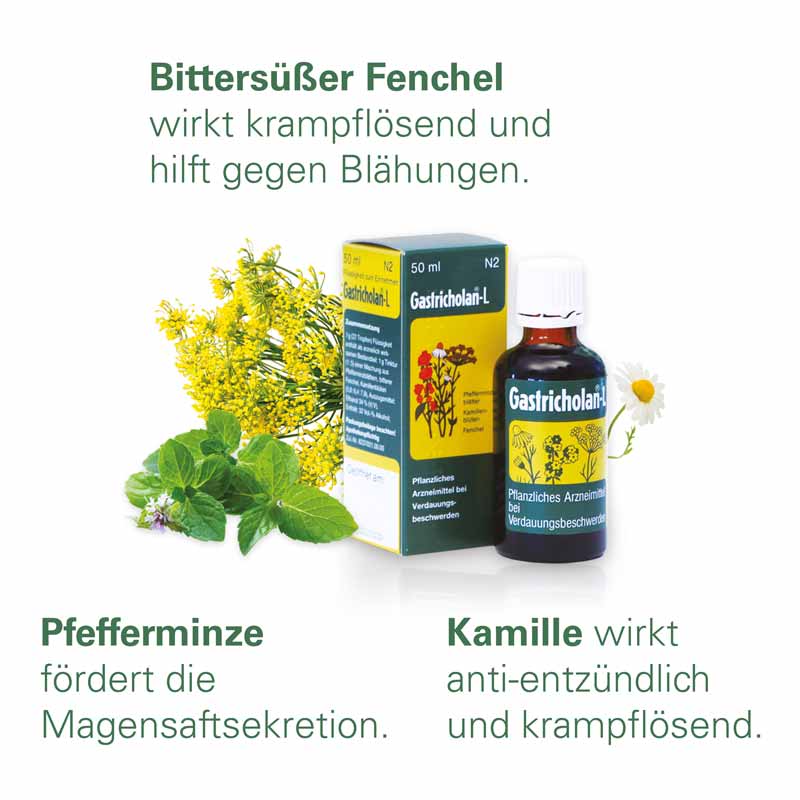 Gastricholan-L 50 ml Flüssigkeit zum Einnehmen