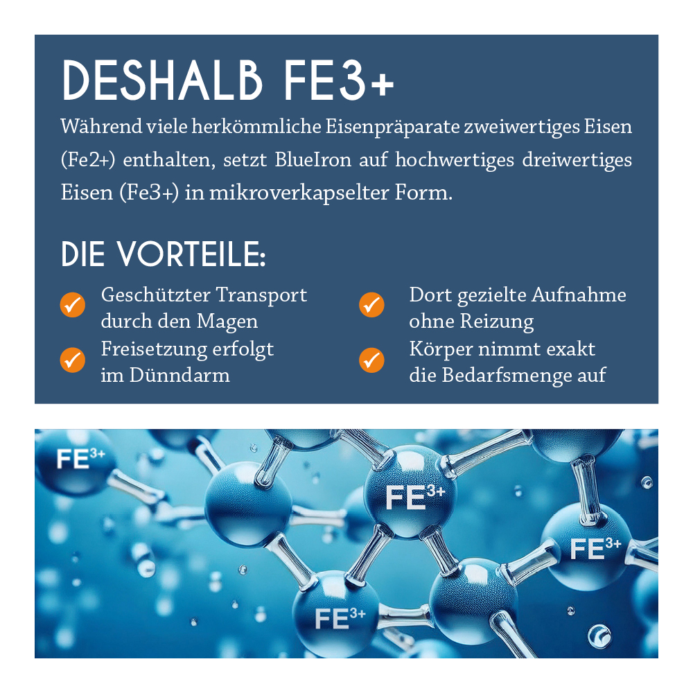 BLUE IRON Eisen Liquid 250 ml Flüssigkeit zum Einnehmen