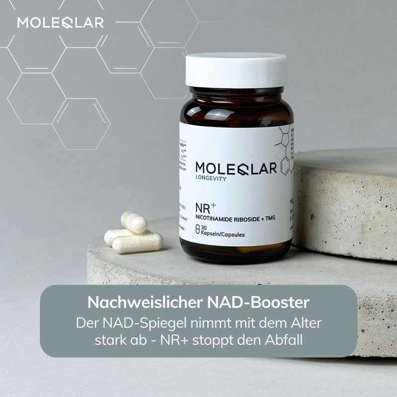 MOLEQLAR NR+ NICOTINAMIDE RIBOSIDE + TMG 30 St Kapseln