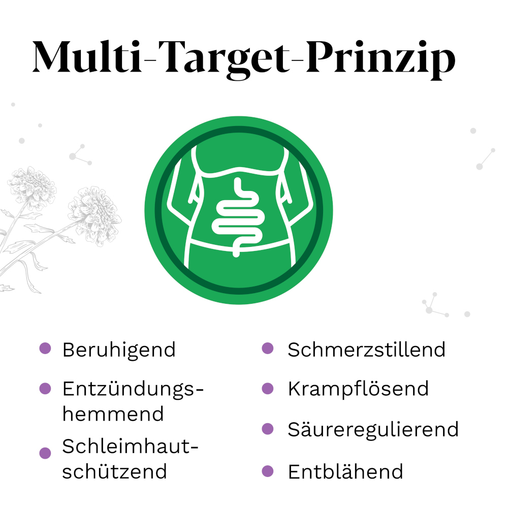 Iberogast ADVANCE 100 ml Flüssigkeit zum Einnehmen