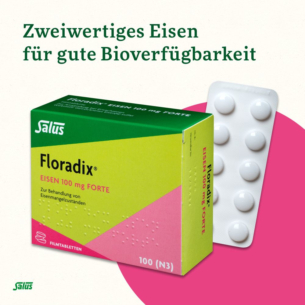 Floradix Eisen 100mg forte 100 St Filmtabletten