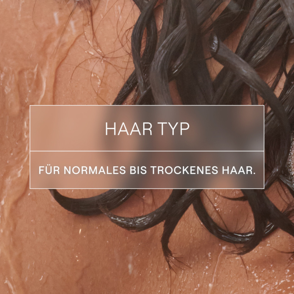 WELEDA FESTES SHAMPOO FEUCHTIGKEIT & GLANZ 50 g Shampoo