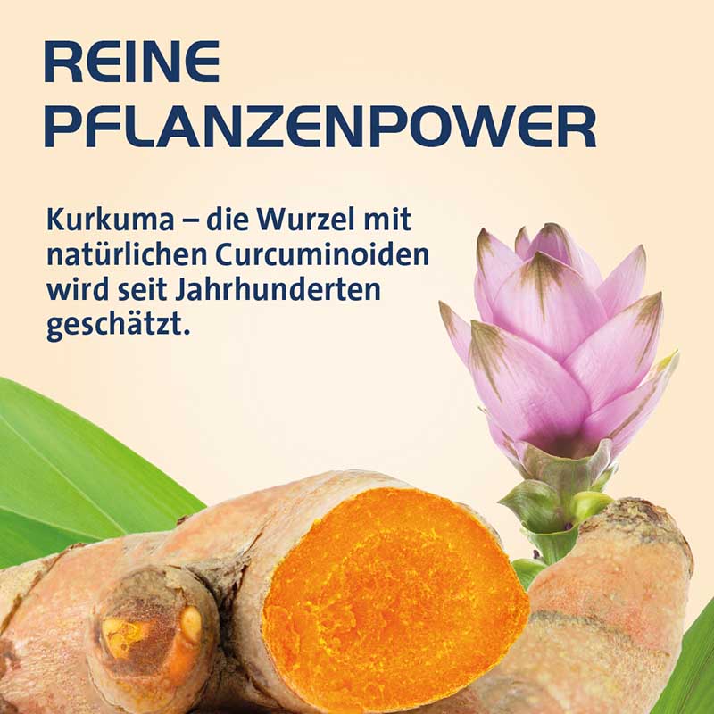 CURCUMIN HEVERT OPTISOLV 60 St Kapseln