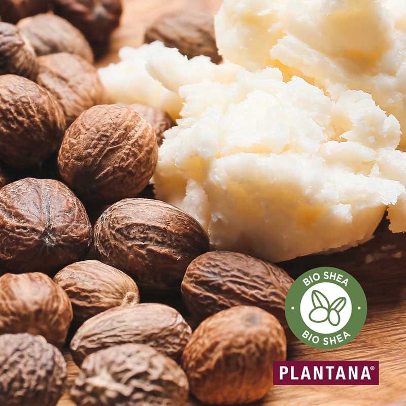PLANTANA KÖRPERCREME SHEA Butter 500 ml Creme