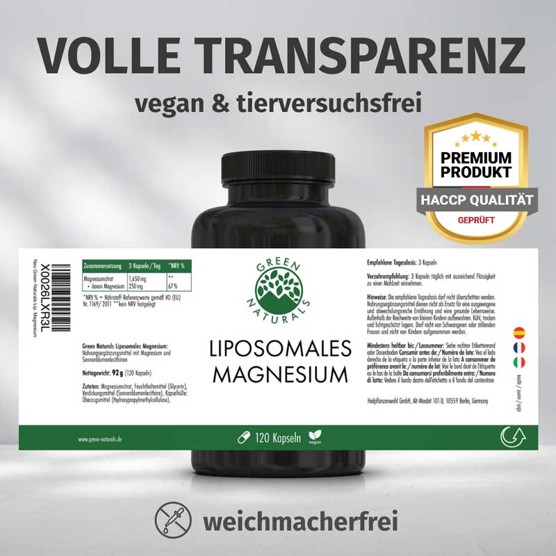 GREEN NATURALS Magnesium Citrat 120 St Kapseln