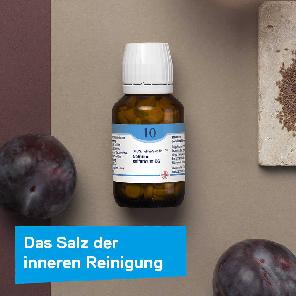 DHU Schüßler-Salz Nr. 10 Natrium sulfuricum D6 80 St Tabletten