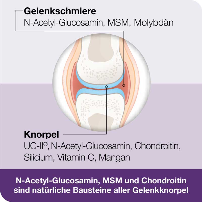 flexiLoges Knorpel aktiv 120 St Kapseln