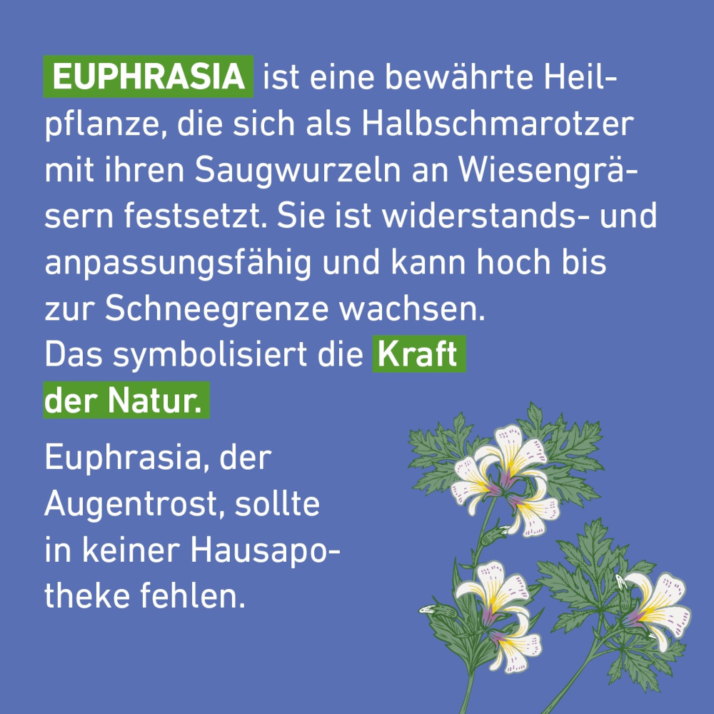 Euphrasia D12 Globuli Pflüger 10 g Globuli